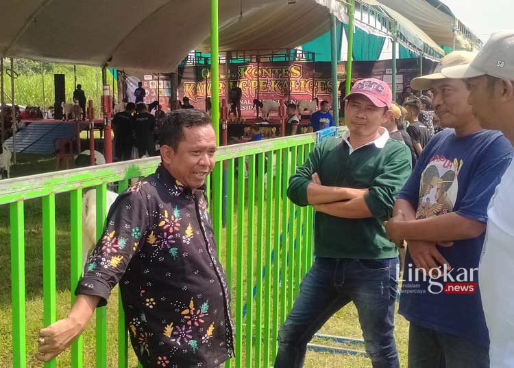 Sukses Digelar Kontes Kambing Peranakan Etawa Diikuti Peternak Keresidenan Pati dan Semarang